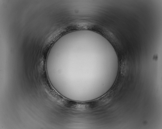 X0000115640314200911241717