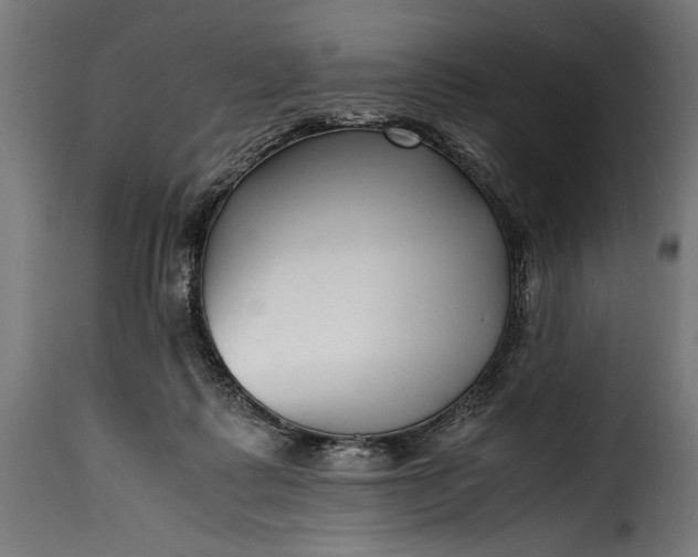 X0000115640315200911241717