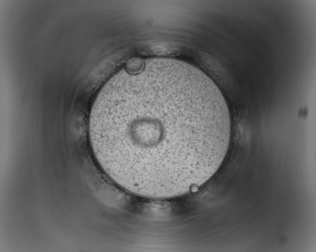 X0000115640317200911241717