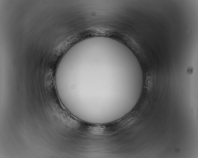 X0000115640318200911241717