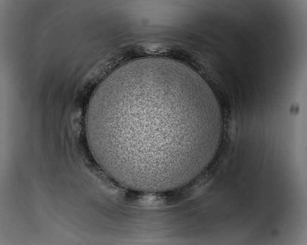 X0000115640319200911241717