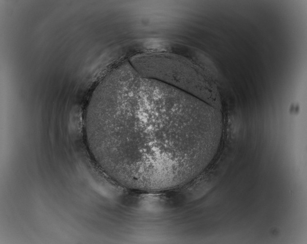 X0000115640320200911241717