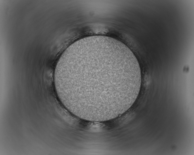 X0000115640321200911241717