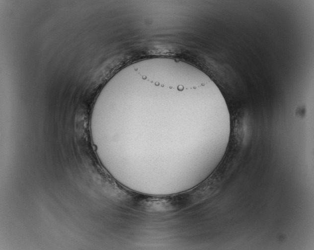 X0000115640322200911241717