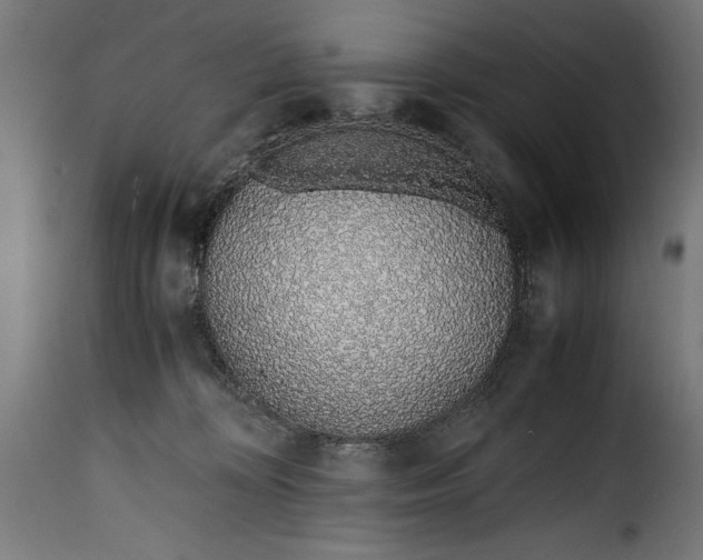 X0000115640324200911241717