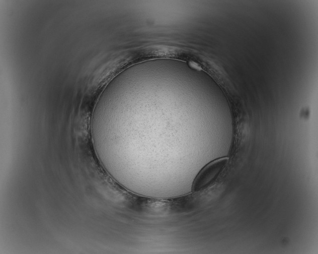 X0000115640325200911241717