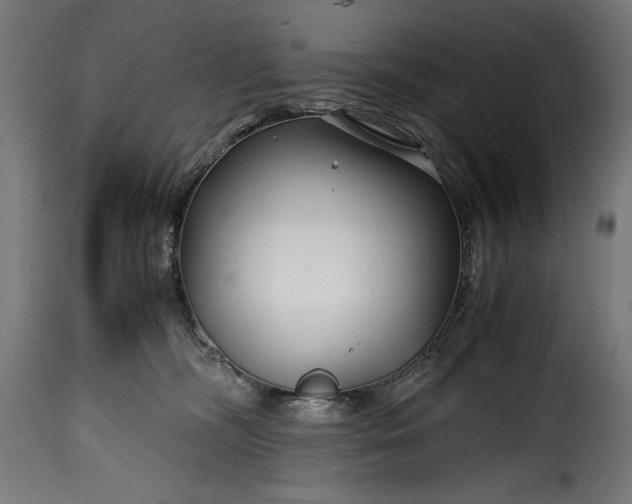 X0000115640326200911241717