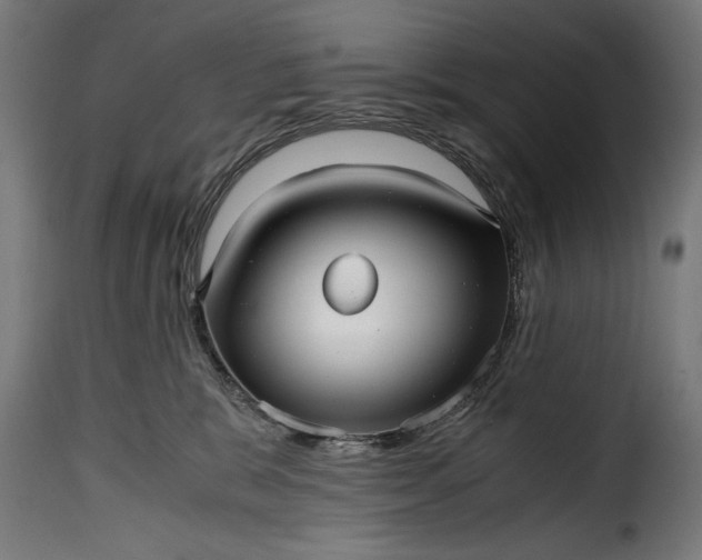 X0000115640327200911241717