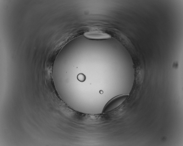 X0000115640329200911241717