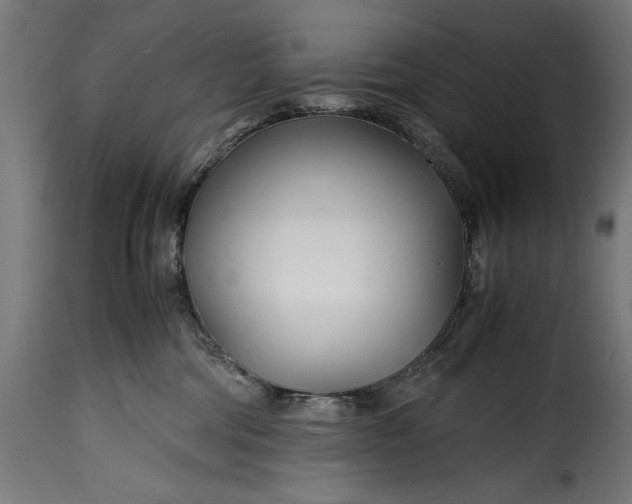 X0000115640330200911241717