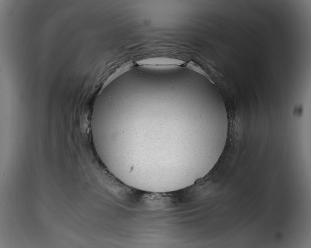 X0000115640331200911241717