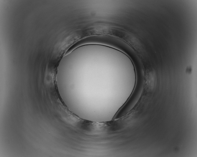 X0000115640333200911241717