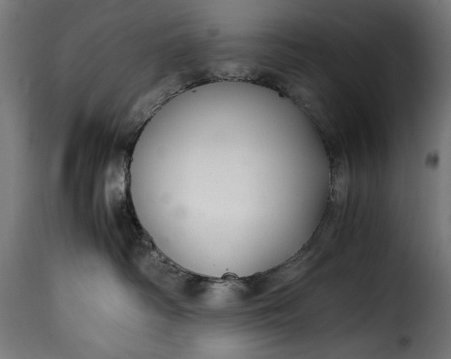 X0000115640334200911241717