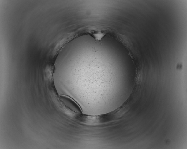 X0000115640335200911241717