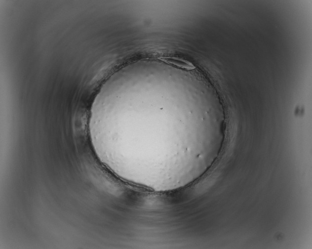 X0000115640336200911241717