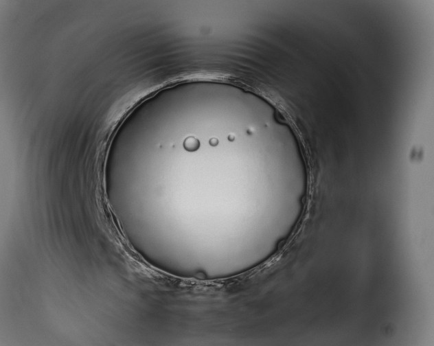 X0000115640337200911241716