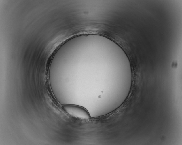 X0000115640338200911241716