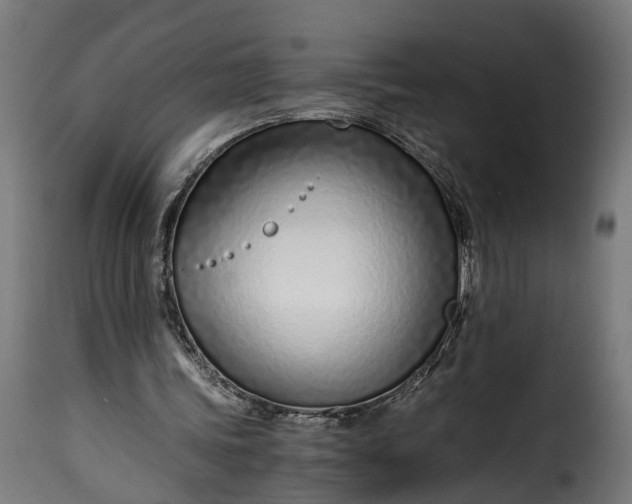 X0000115640339200911241716