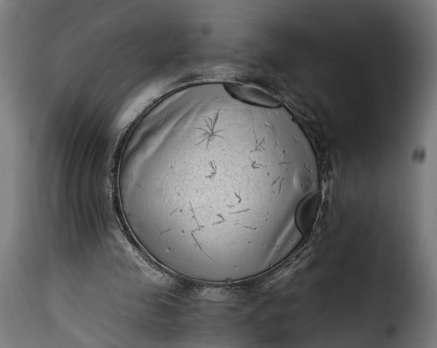 X0000115640341200911241716