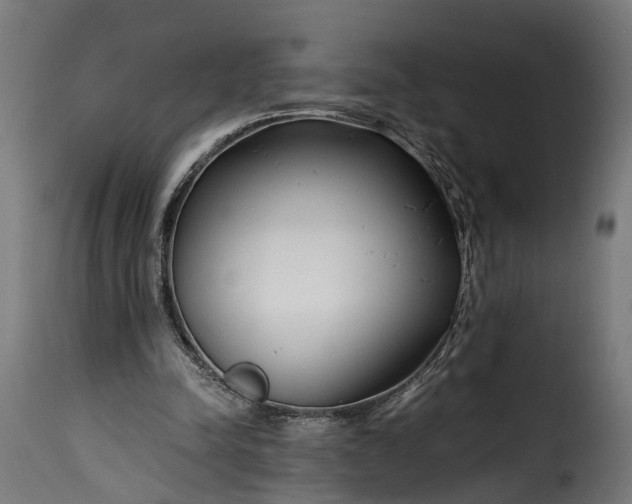 X0000115640342200911241716