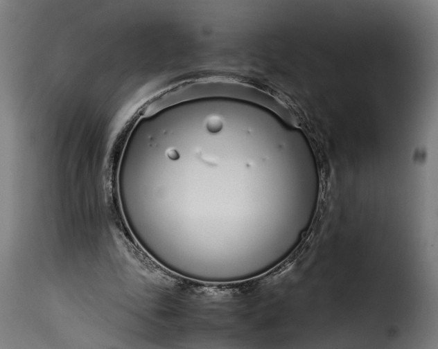 X0000115640343200911241716