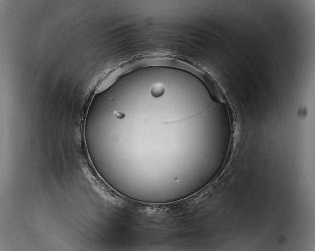 X0000115640345200911241716