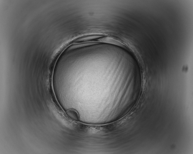 X0000115640346200911241716