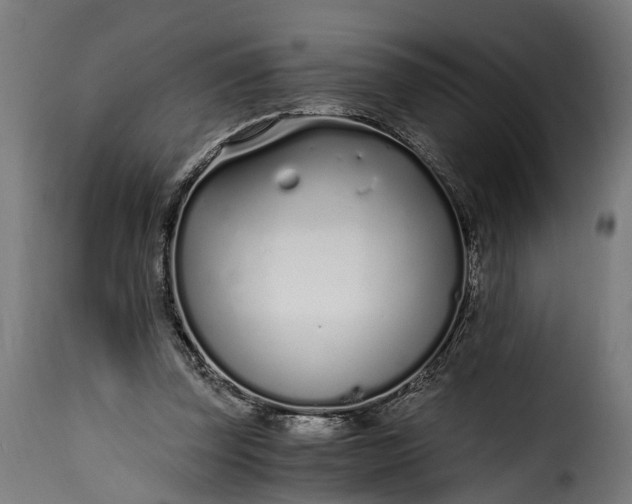 X0000115640347200911241716