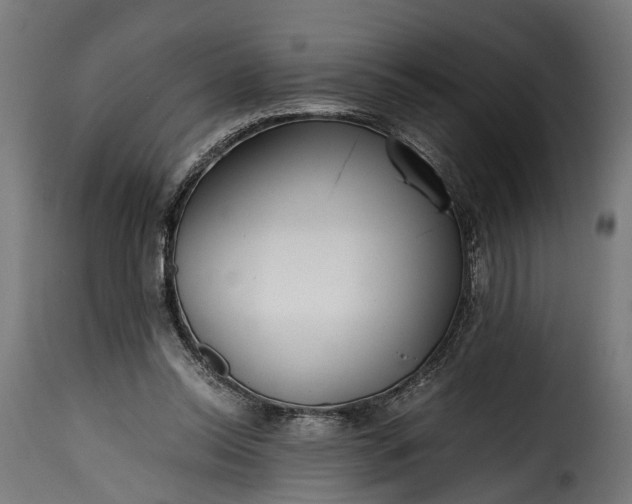 X0000115640350200911241716