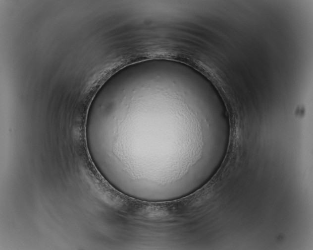 X0000115640353200911241716