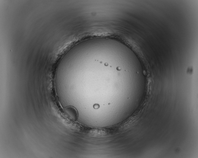 X0000115640354200911241716