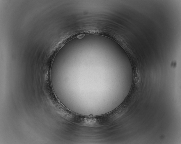 X0000115640355200911241716