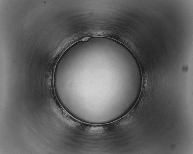 X0000115640357200911241716