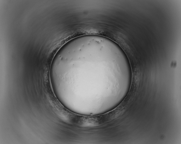 X0000115640359200911241716