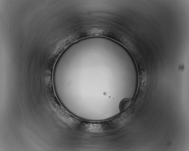 X0000115640361200911241716