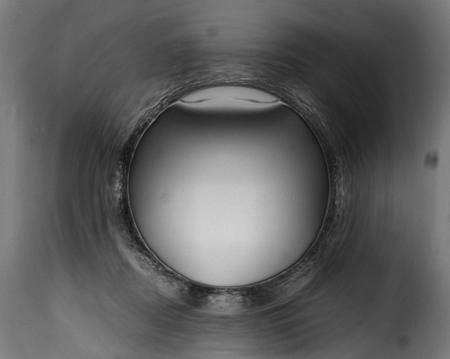 X0000115640362200911241716