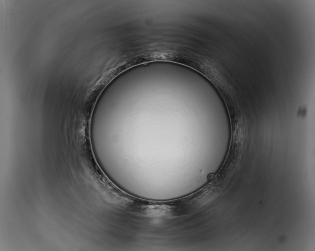 X0000115640363200911241716