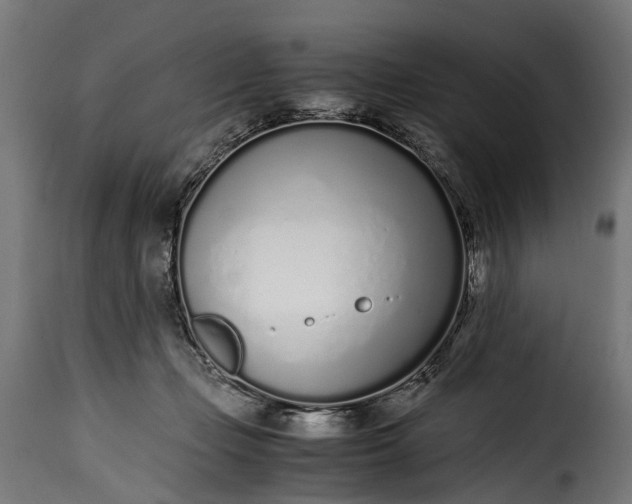 X0000115640365200911241716