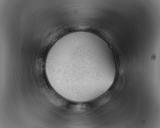 X0000115640366200911241717