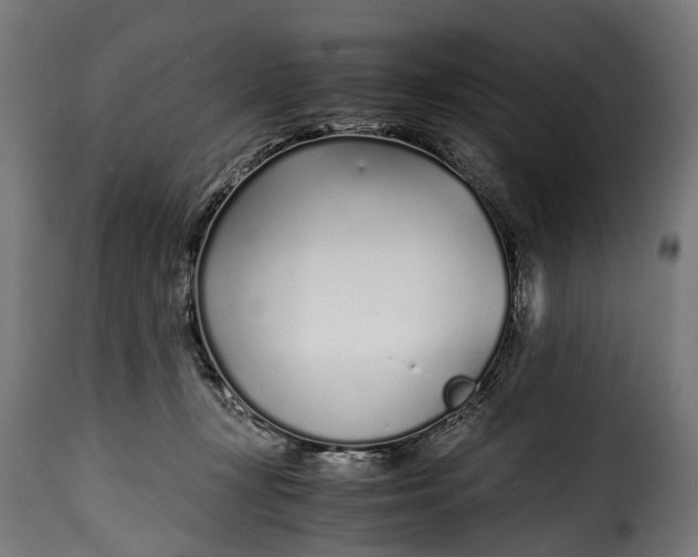 X0000115640367200911241717