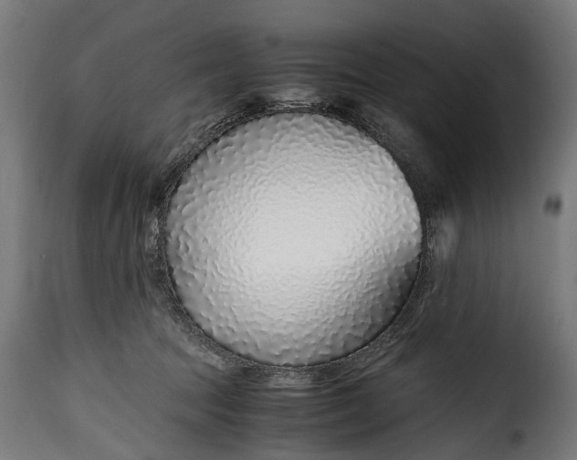 X0000115640369200911241717