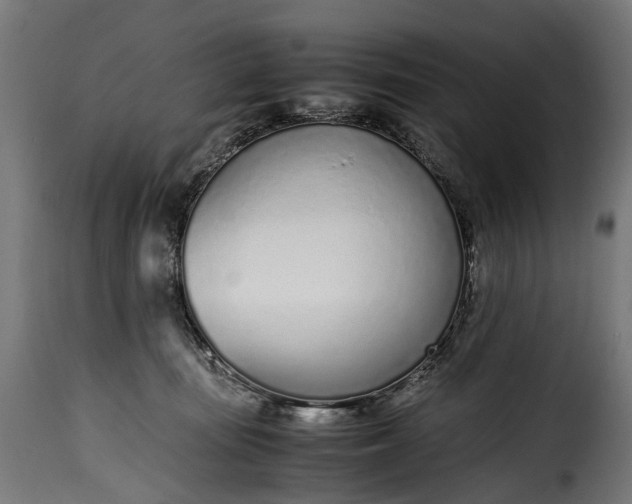 X0000115640371200911241717