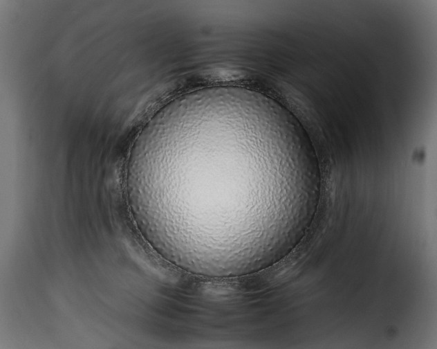 X0000115640373200911241717