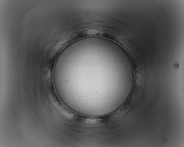 X0000115640375200911241717