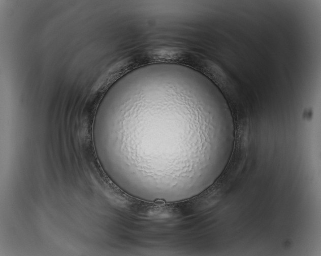 X0000115640377200911241717