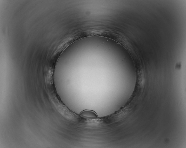 X0000115640378200911241717