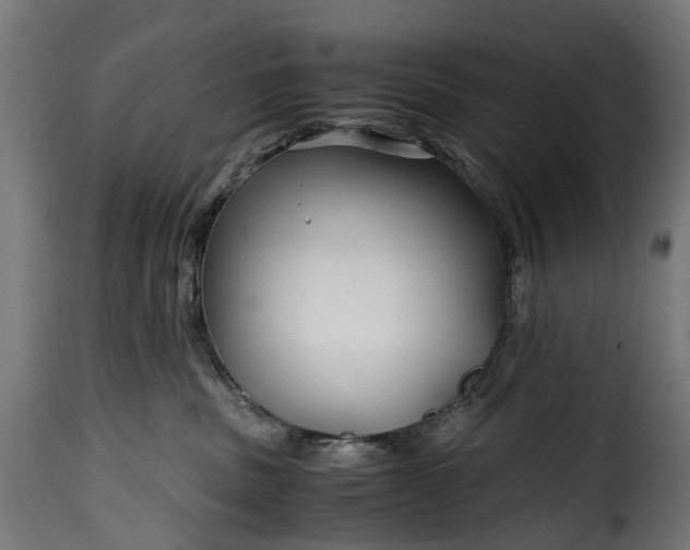 X0000115640379200911241717