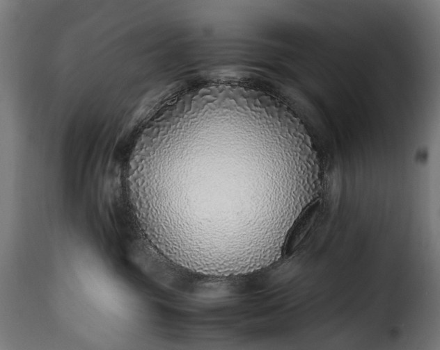 X0000115640381200911241717