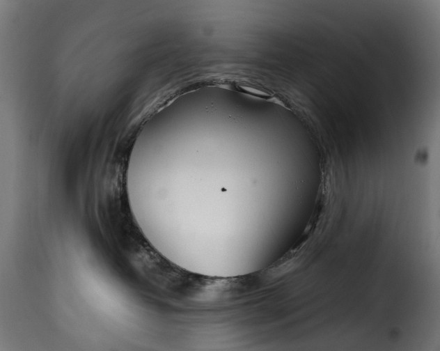 X0000115640382200911241717