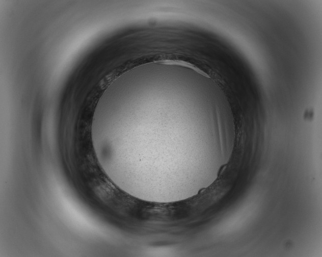 X0000115640383200911241717